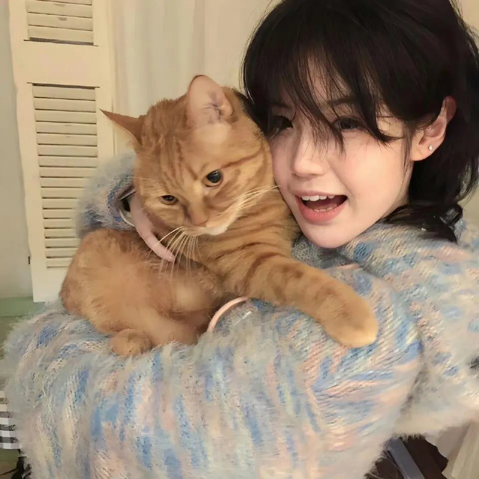 安昙春子下落不明